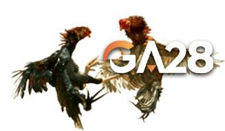 GA28